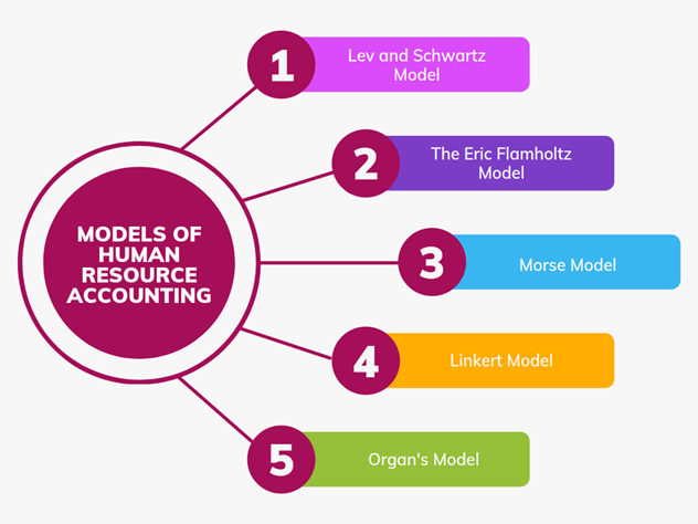 مدل های منابع انسانی